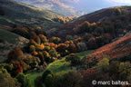 cevennes, automne, 2025,